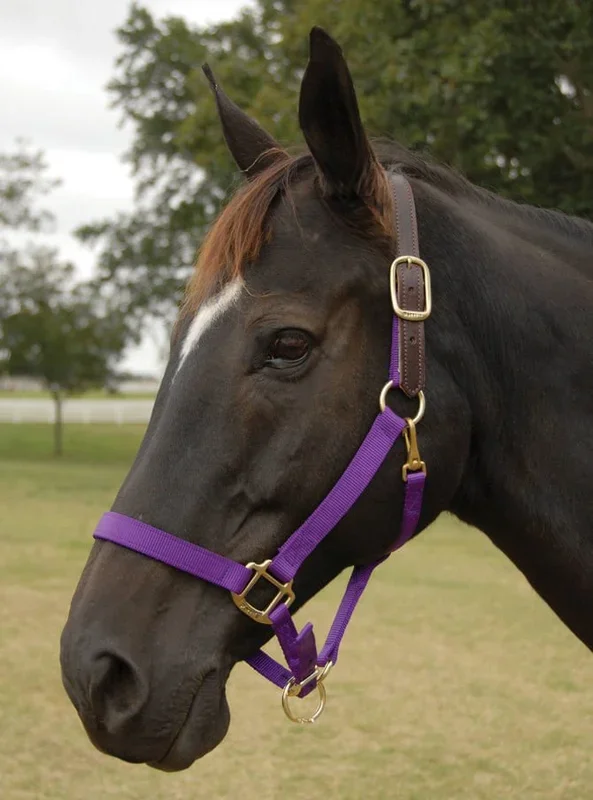 Perri’s Breakaway Adjustable Nylon Horse Halter