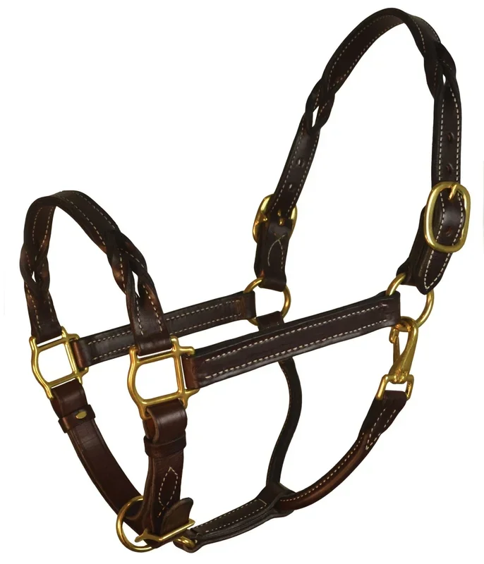 Perri’s Twisted Leather Halter