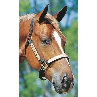 Personalized Nylon Halter, Standard (800-1100 lb) by Supreme Western