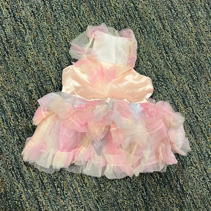 Pet Rainbow Flutter Dress