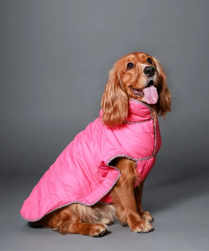 Pet Set Go Wind Sheeter Jackets for Dogs (Pink)