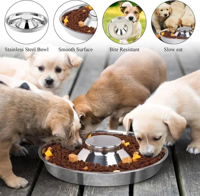 Premium Puppy & Kitten Flying Saucer 11″ Metal Dog Food & Water Feeders