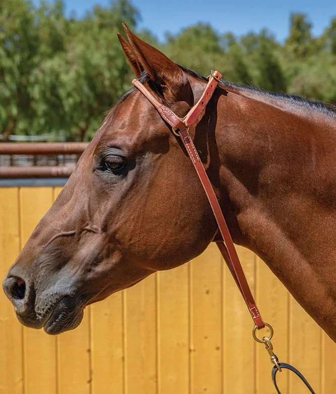 Professional’s Choice Harness Leather War Bonnet
