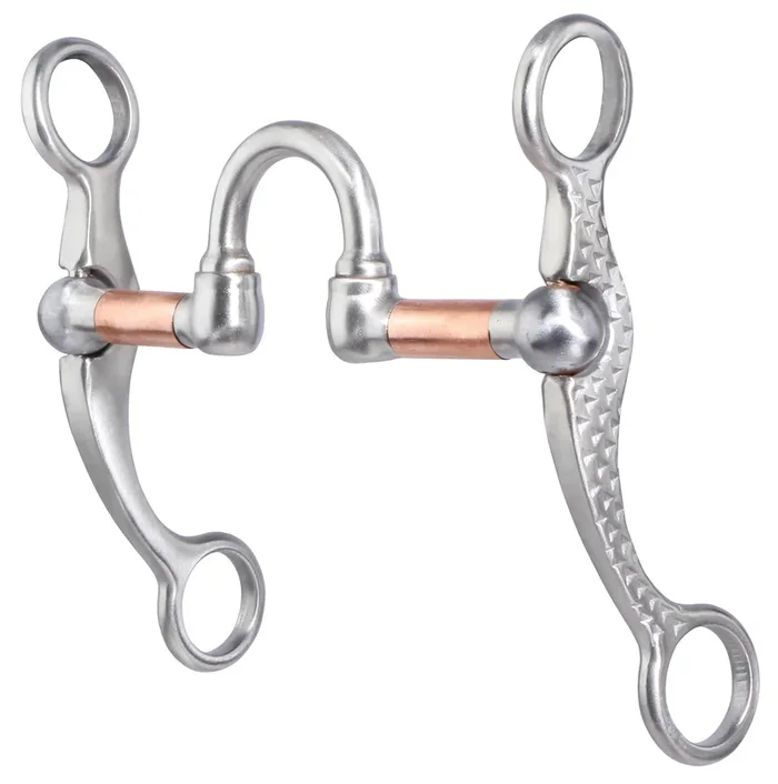 Professional’s Choice Correction Rasp Shank Bit