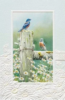 PTR Creative LLC – Card Summer Breeze B’day