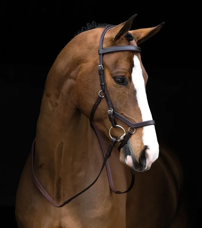 Rambo Micklem Competition Bridle, Dark Havana
