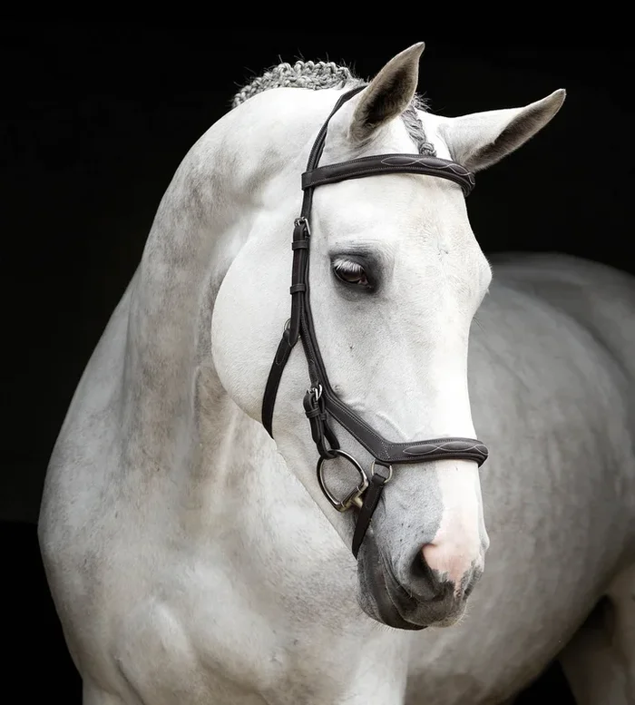 Rambo Micklem Deluxe Competition Bridle, Dark Havana