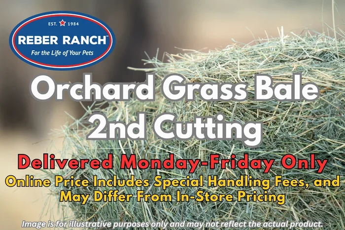 Reber Ranch Orchard Grass Hay Bale – 2nd Cutting