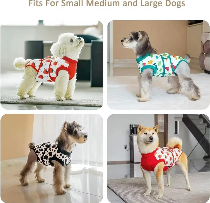 recovery suits for dogs strawberry