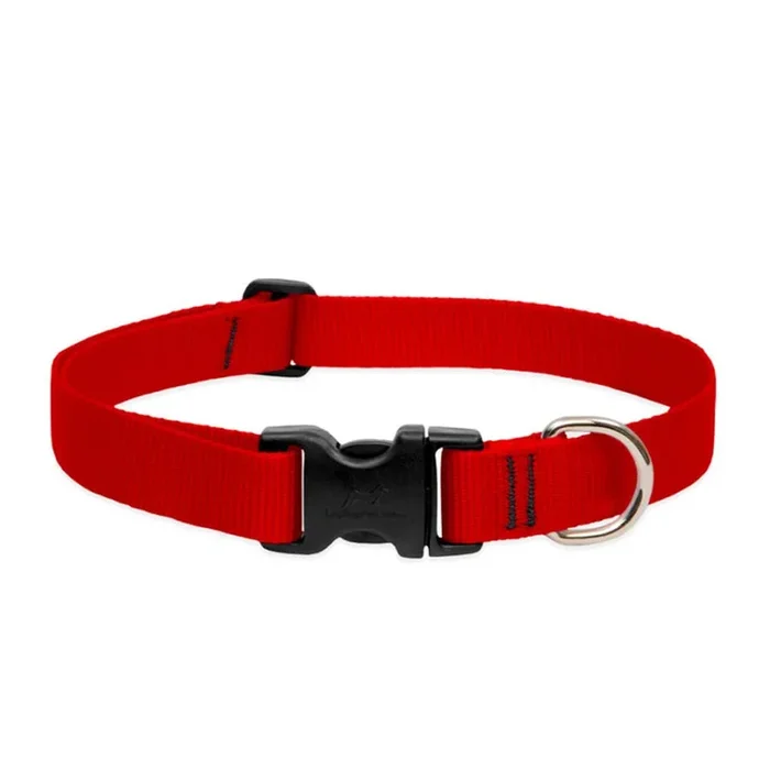 Red Collar
