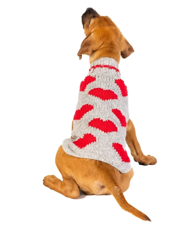 Red Hearts Hand Knit Wool Dog Sweater by Chilly Dog