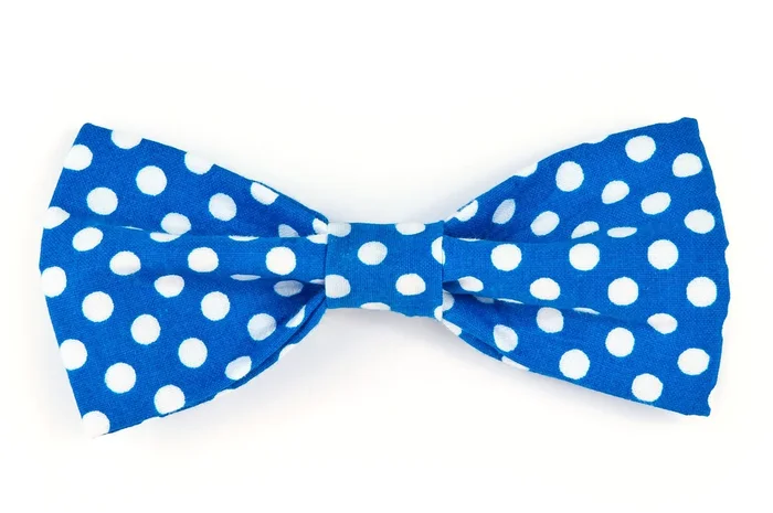 Royal Blue/White Dot Dog Bow Tie – 921