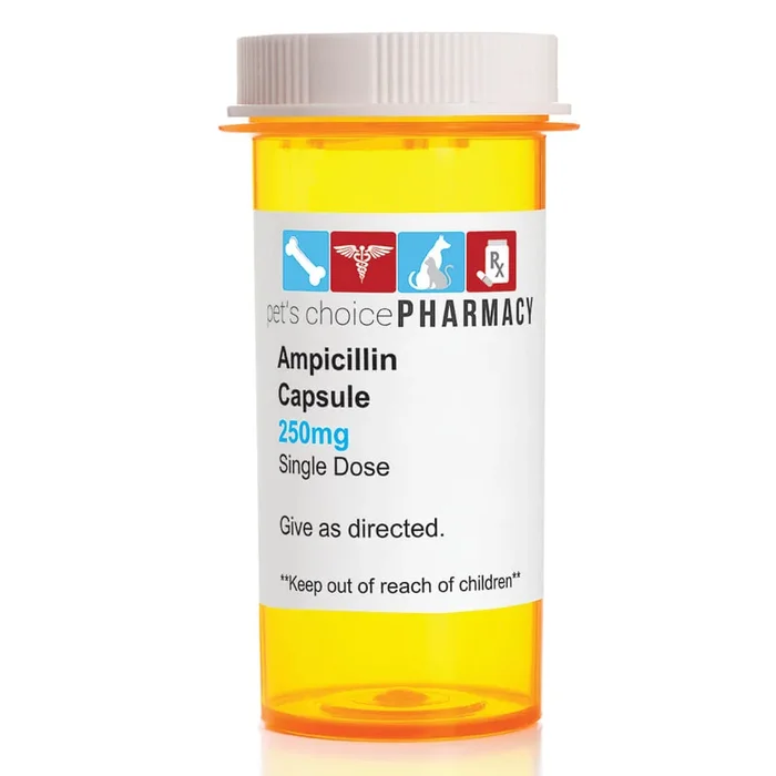 Rx Ampicillin (Generic) Capsules for Horses, Dogs, & Cats