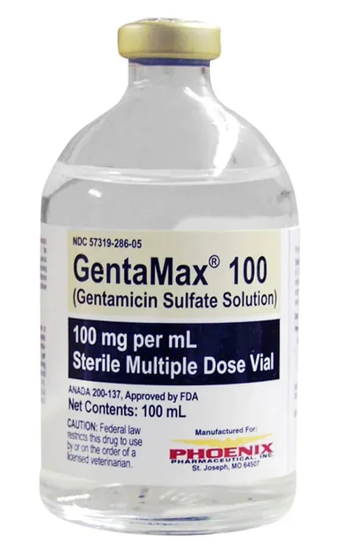 Rx GentaMax (gentamicin sulfate solution) 100 mg/mL Injection for Horses