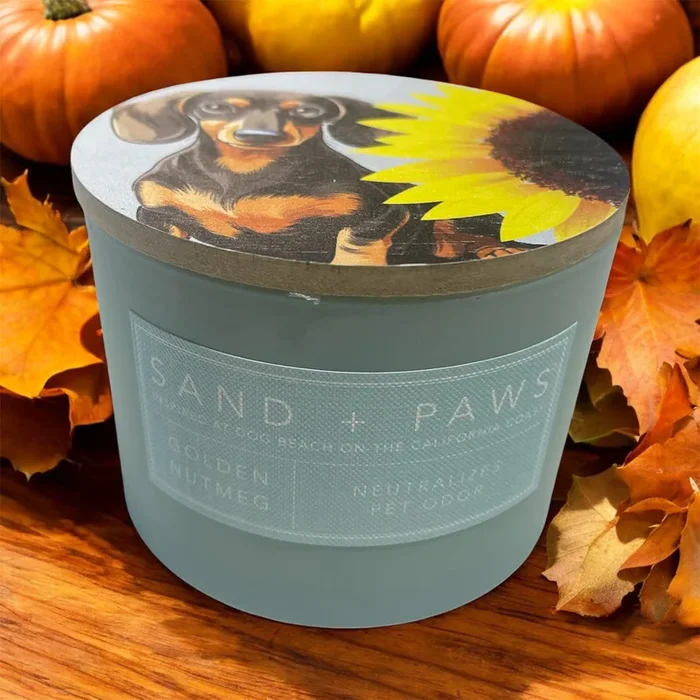 sand and paws candle golden nutmeg