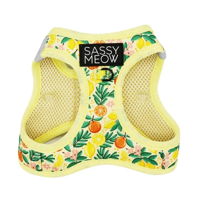 Sassy Meow Step-In-Harness Zest Friends, Cat Harness