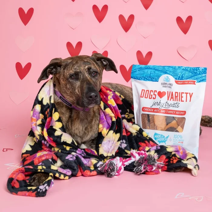 Send a Valentine & Love To a Shelter Fur Baby