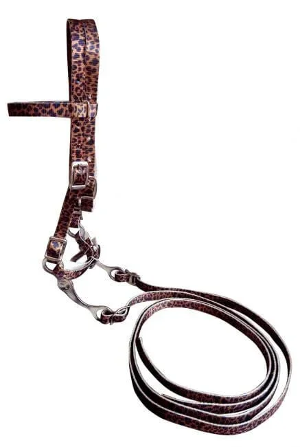 Showman Pony Nylon Bridle