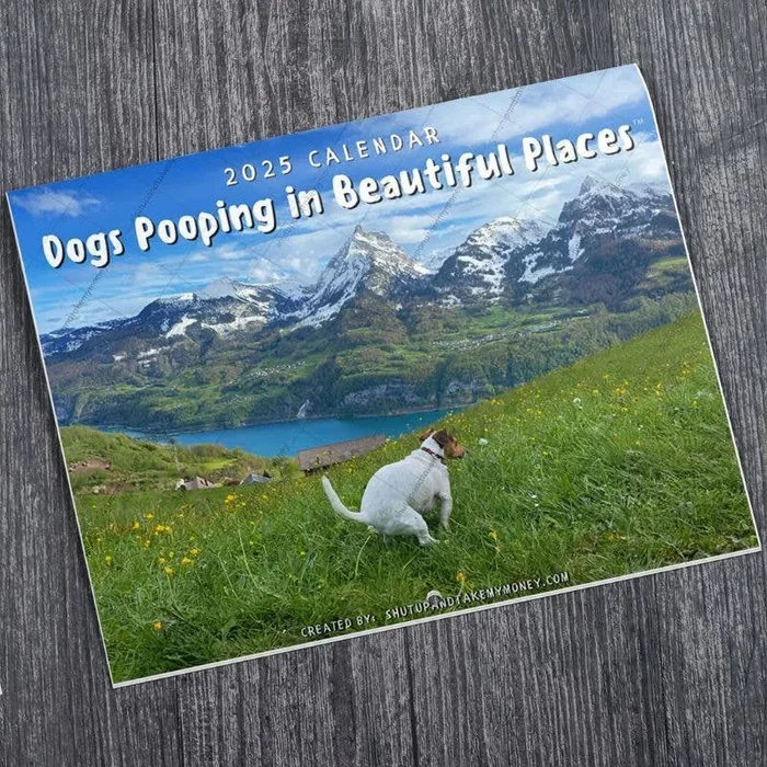 ShutUpAndTakeMyMoney – Dogs Pooping in Beautiful Places™ 2025 Calendar – Gag Gift
