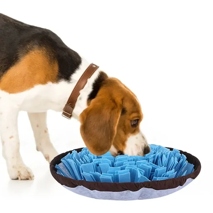 Snuffle Mat in Tray Shape Type B – Dog & Cat Toys