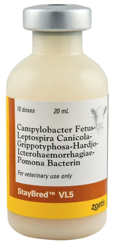 StayBred® VL5 Cattle Vaccine