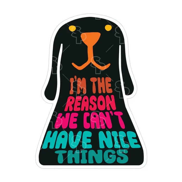 Sticker Pack Sticker- LRG I’m the Reason we can’t have nice things