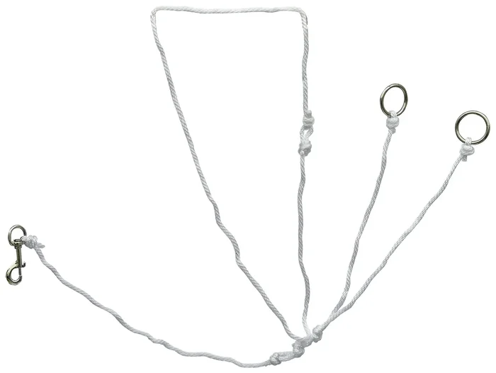 String Martingale Training Fork