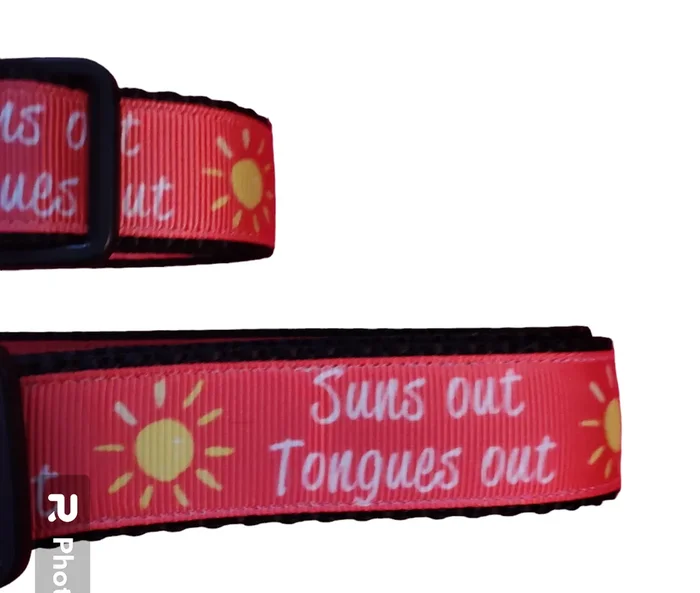 Sun’s Out Tongue’s Out Black Nylon Dog Collar MD, LG, XL, Leash