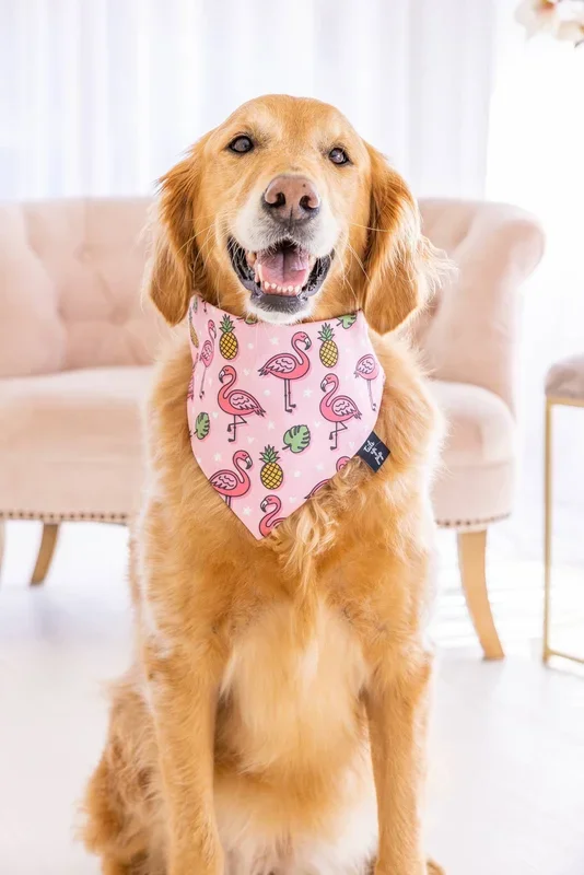 Tails Up, Pup – Flamingo Dog Bandana , Summer Dog Bandana , Summer Dog, Pink