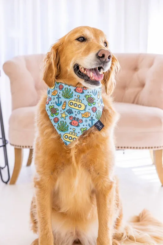 Tails Up, Pup – Ocean Dog Bandana , Summer Dog Bandana , Summer Dog
