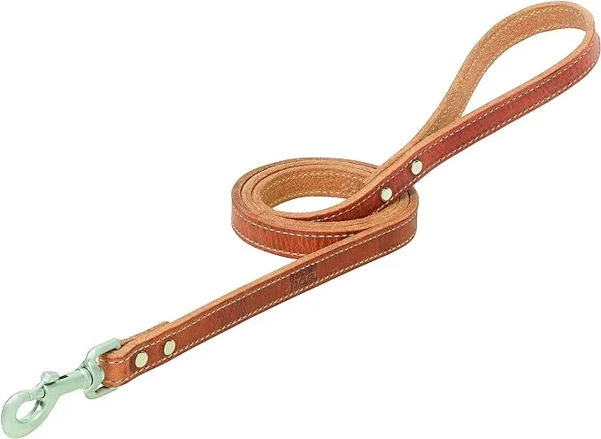 Terrain D.O.G. Harness Leather Dog Leash, Russet, 3/4″ x 6′