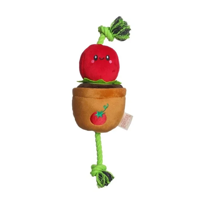 Territory – Tomato Treat and Tug Toy