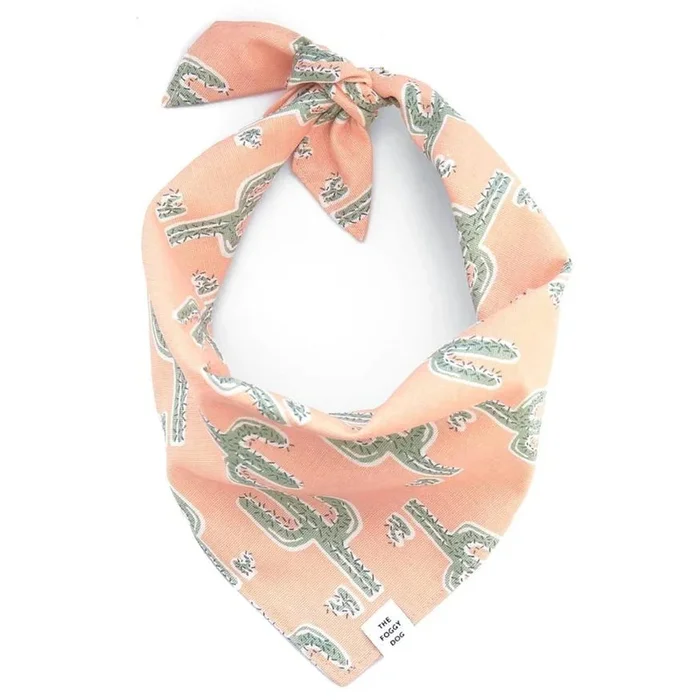 The Foggy Dog – Cactus Garden Bandana