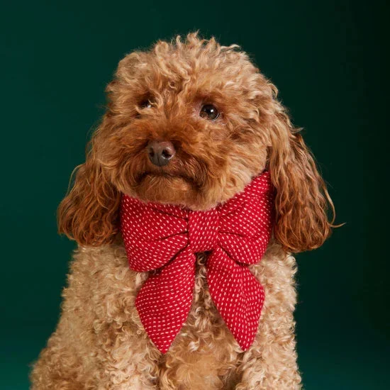 The Foggy Dog – Dog Bow Berry Stitch Flannel