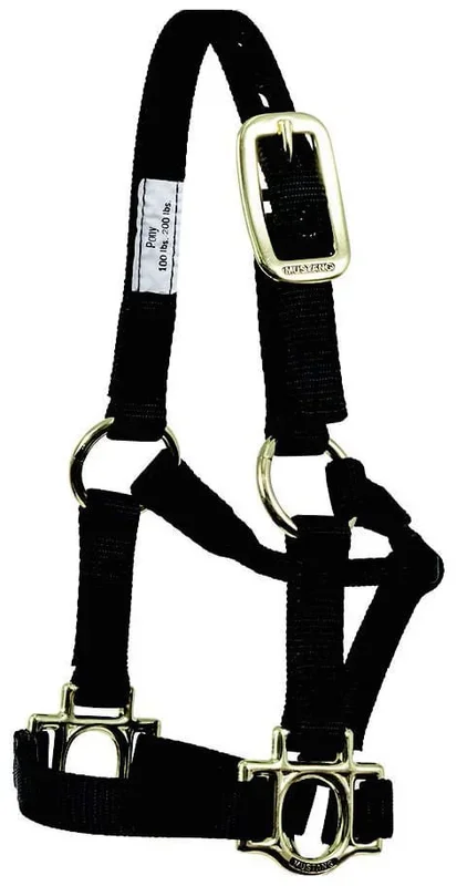 Traditional Nylon Pony Halter