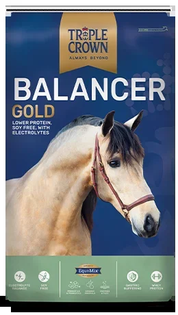 TRIPLE CROWN BALANCER GOLD