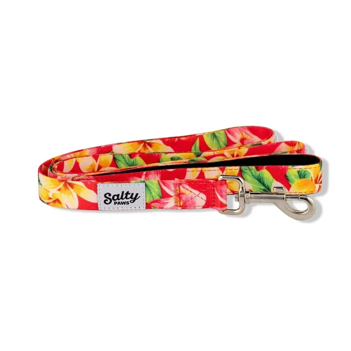 Tropical Dog Pink Floral Hawaiian Print Leash 6′ Length Soft: Small