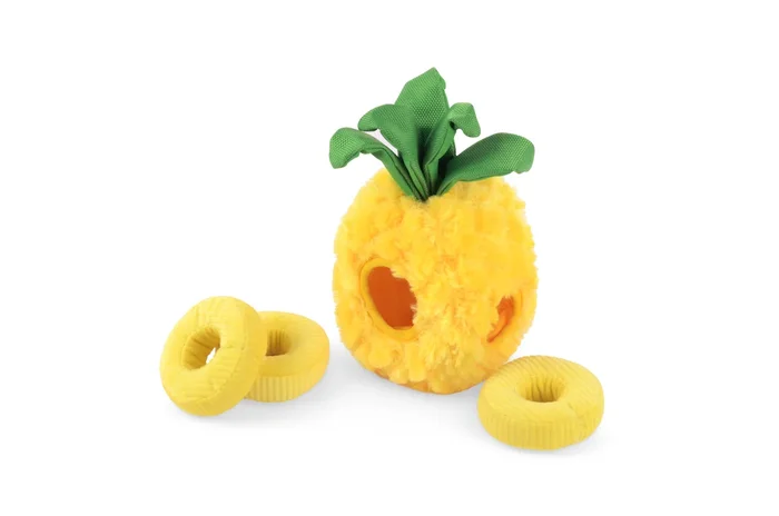 Tropical Paradise_Paws Up Pineapple