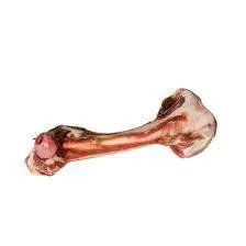 Tucker’s Lamb Femur Bone