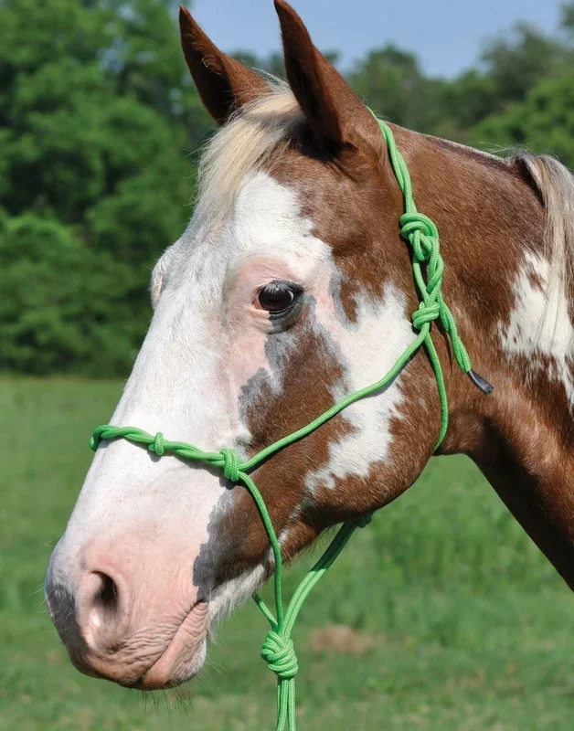 Twisted Poly Rope Halter