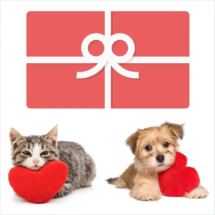 Valentine’s Love Gift Card
