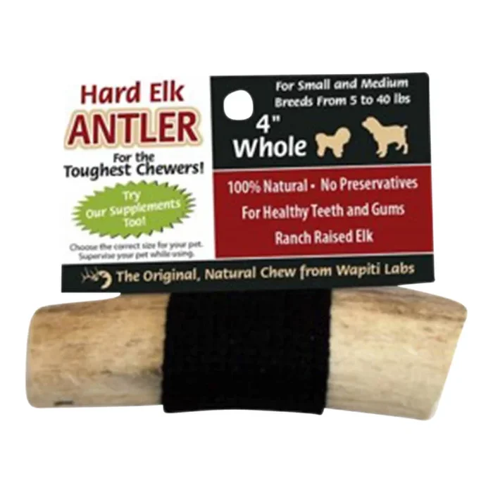 Wapiti Labs Elk Antler Dog Chews, 4″, Whole