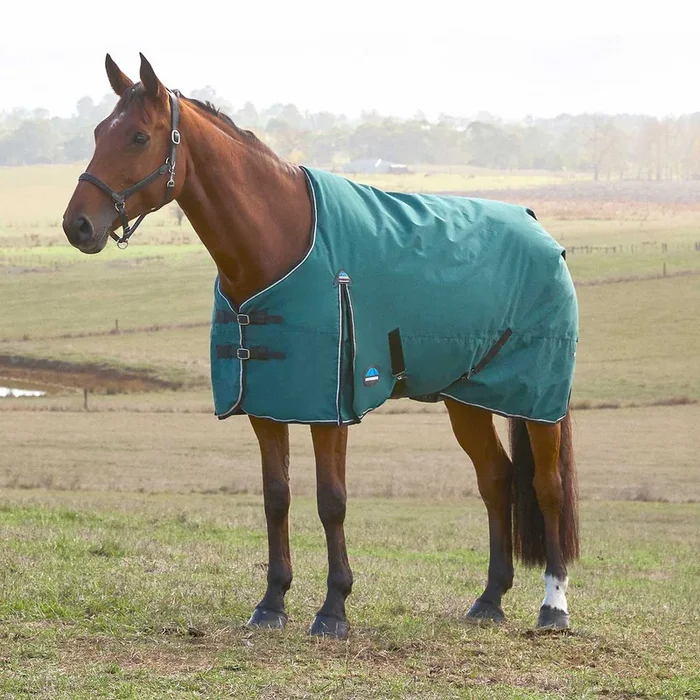 WeatherBeeta ComFiTec Classic Standard Neck Medium-Weight Turnout Blanket for Horses, 220g – Waterproof, Breathable & Durable