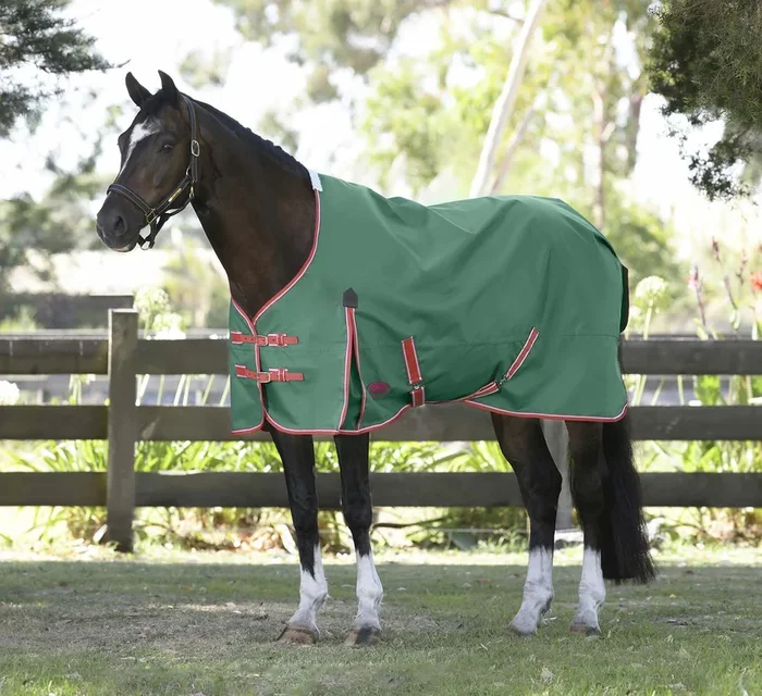 WeatherBeeta ComFITec Prelim Standard Neck Horse Turnout Sheet, 1200D, 0 Gram