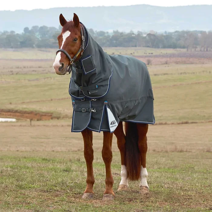 WeatherBeeta ComFiTec Ultra Detach-A-Neck Heavy Weight Turnout Blanket for Horses – 1800D, 360g Polyfill, Waterproof & Breathable