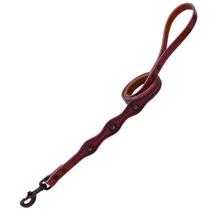 Weaver Leather – Sundance Dog Leash