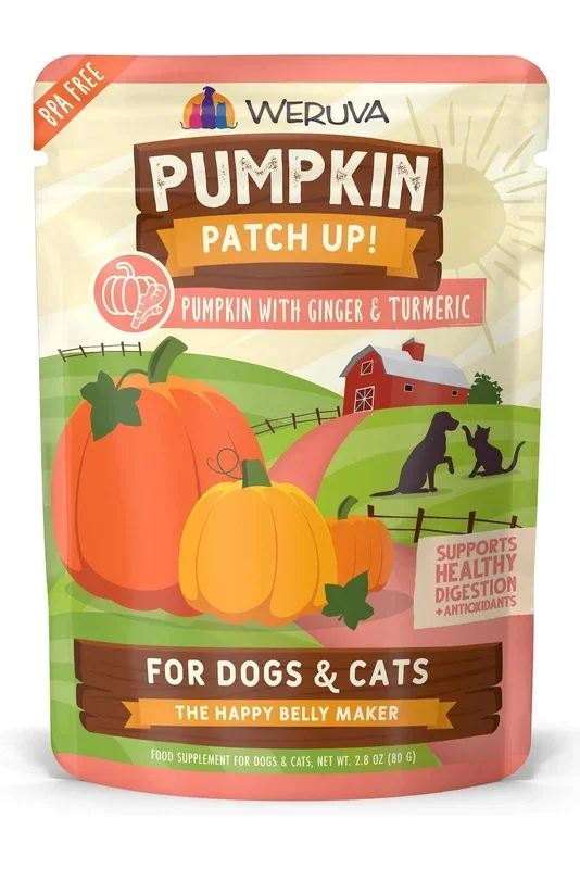 Weruva Pumpkin Patch Up! Ginger and Turmeric Puree Pouch Cat Supplement