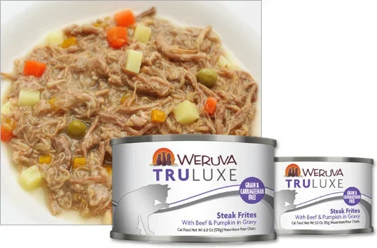Weruva Steak Frites with Beef & Pumpkin in Gravy 3oz