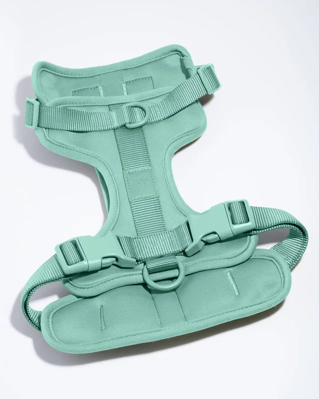 Wild One – Adjustable Comfort Dog Harness – Seafoam / MEDIUM