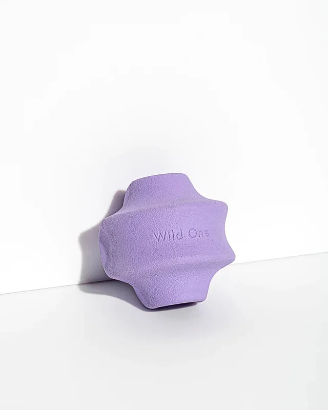 Wild One – Twist Toss Treat Dispensing Dog Toy Standard Size